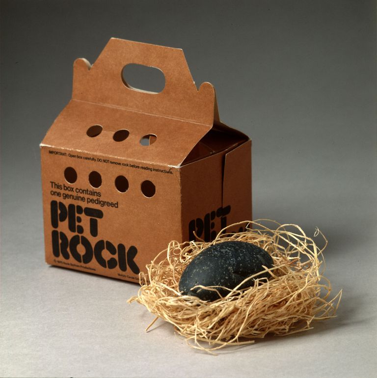 Pet Rocks Rule Central Rappahannock Regional Library