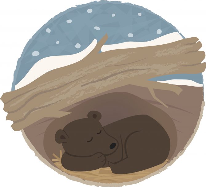 Happy Hibernations! | Central Rappahannock Regional Library Happy Hibernations! | Central Rappahannock Regional Library