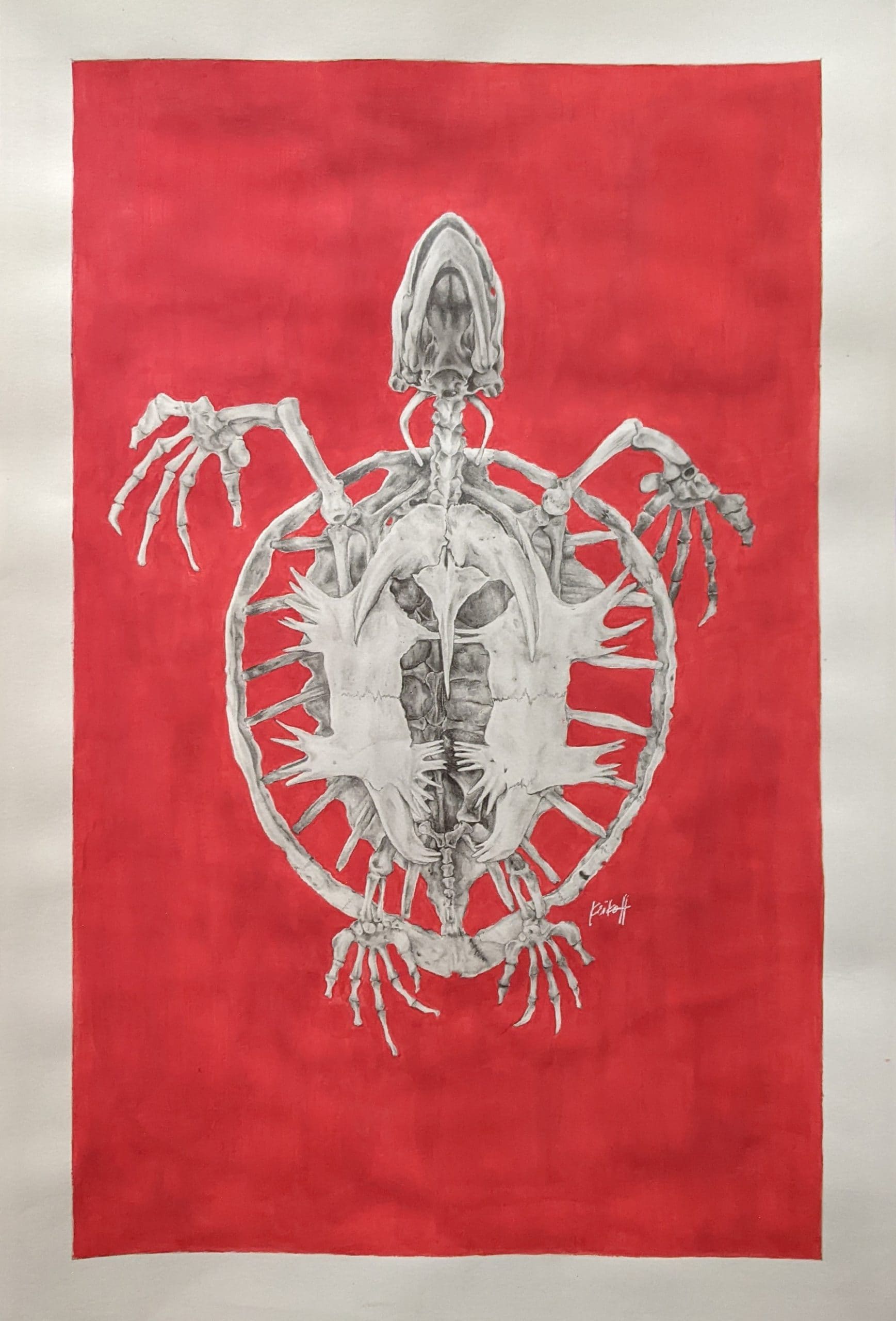 "Sea Turtle Skeleton" by Keiko Huff