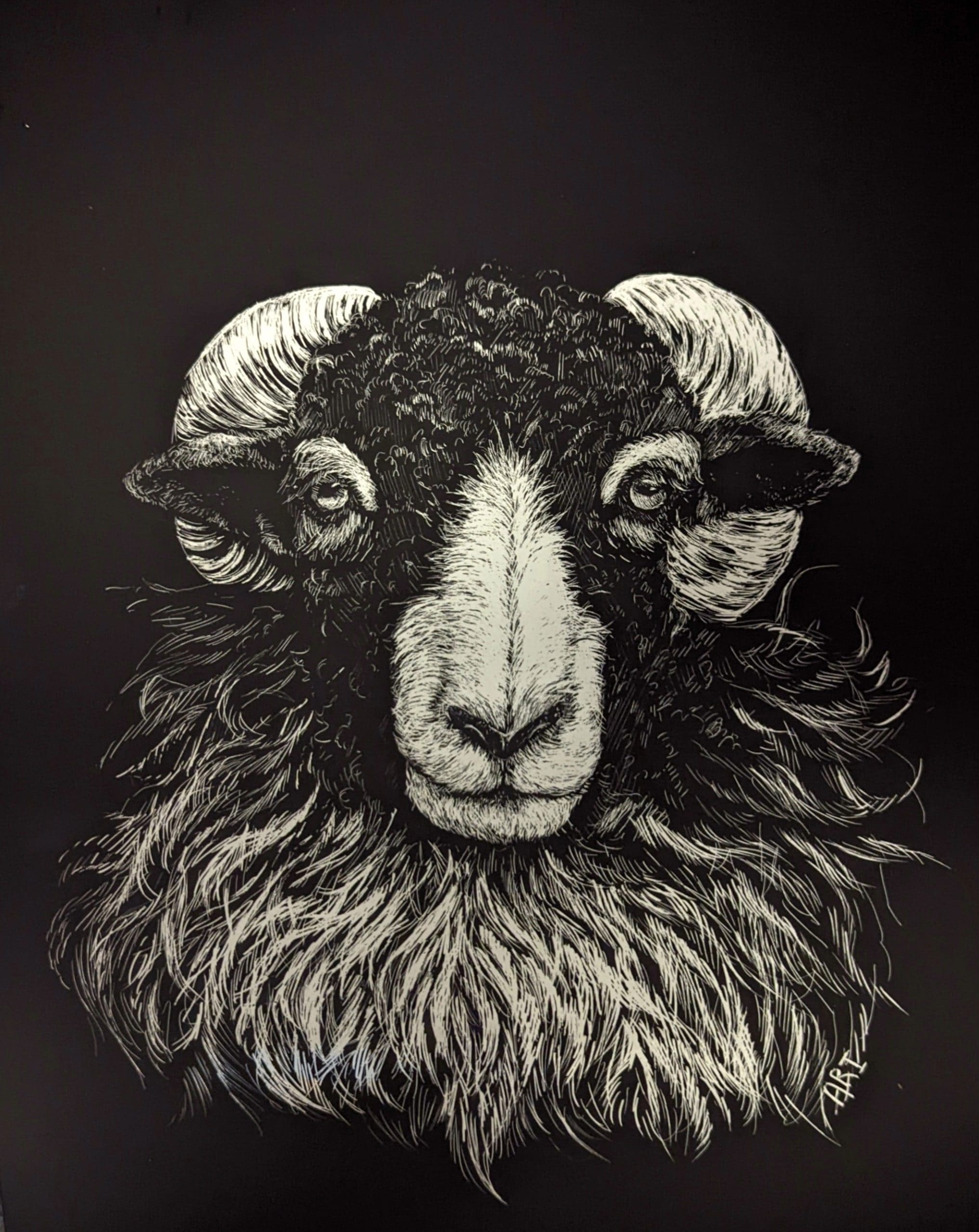 "Sheep Head" by Arianna Barajas