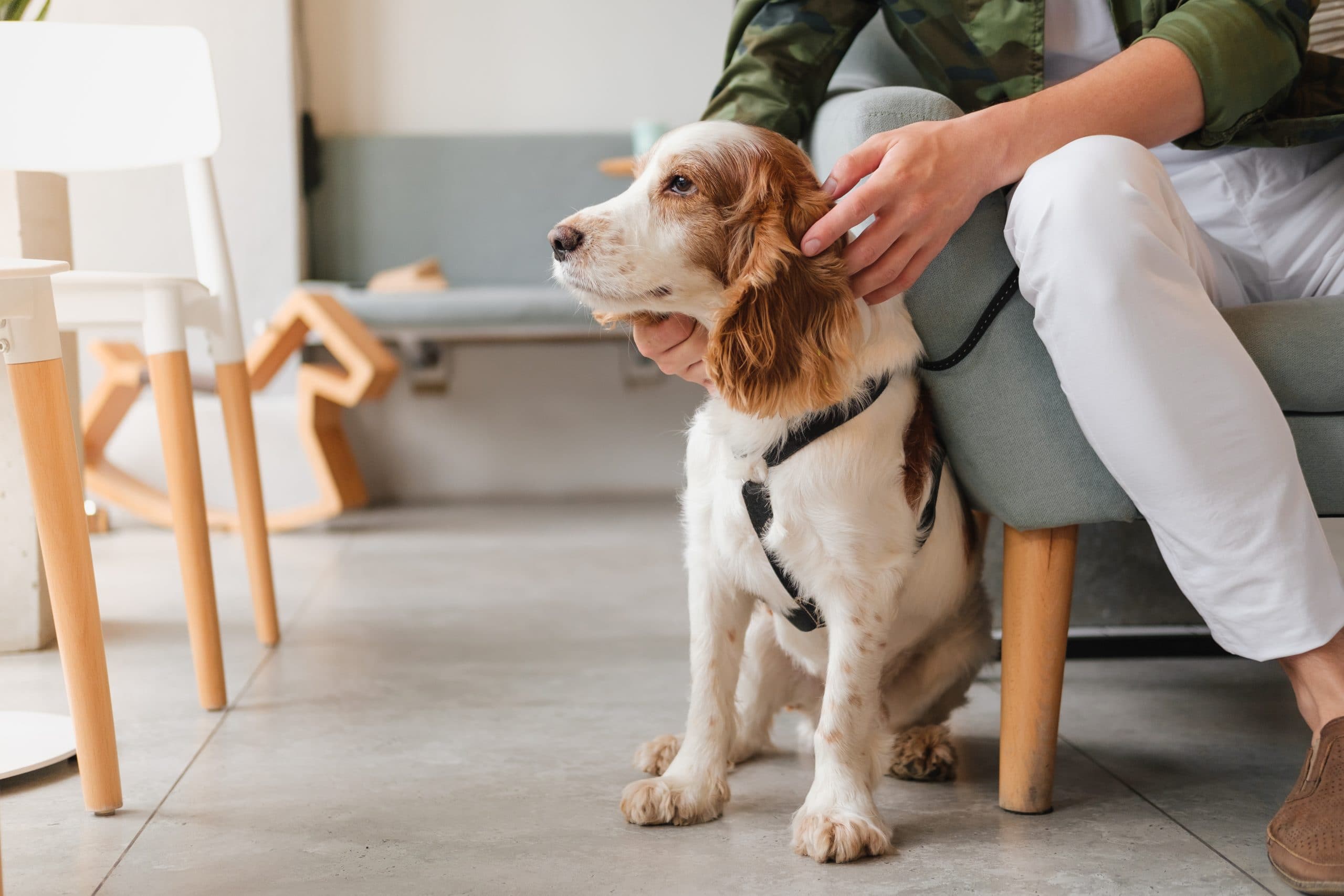 Cognitive and Emotional Impairment Offerings Cognitive and Emotional Impairment Offerings