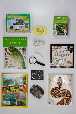 Library of Things : Nature Pack : Reptile Round-up
